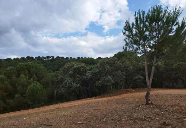 Cartel BiossFera Terra